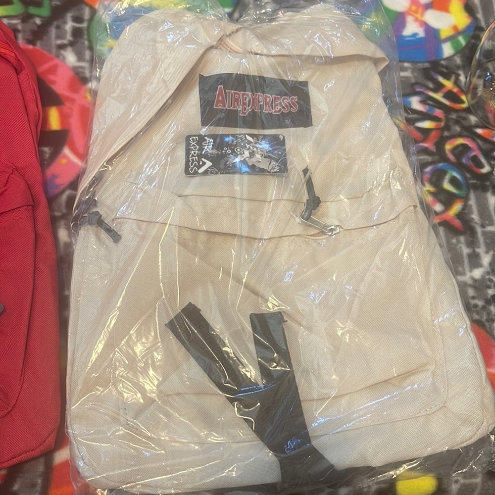 Air Express Silver Gray Backpack